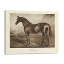 Ermitaño - Clarence Hailey | Cuadro decorativo de Canvas Lab