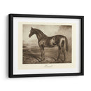 Ermitaño - Clarence Hailey | Cuadro decorativo de Canvas Lab