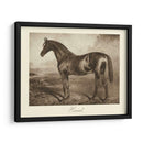 Ermitaño - Clarence Hailey | Cuadro decorativo de Canvas Lab