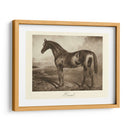 Ermitaño - Clarence Hailey | Cuadro decorativo de Canvas Lab