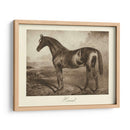 Ermitaño - Clarence Hailey | Cuadro decorativo de Canvas Lab