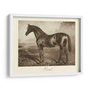 Ermitaño - Clarence Hailey | Cuadro decorativo de Canvas Lab