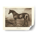 Ermitaño - Clarence Hailey | Cuadro decorativo de Canvas Lab