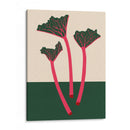 Rhabarbero del jardín sueco - Rosi Feist | Cuadro decorativo de Canvas Lab