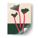 Rhabarbero del jardín sueco - Rosi Feist | Cuadro decorativo de Canvas Lab