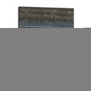 Primera Luz Ii - Fred Szatkowski | Cuadro decorativo de Canvas Lab