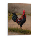 Este es mi gallo - E Ordóñez | Cuadro decorativo de Canvas Lab