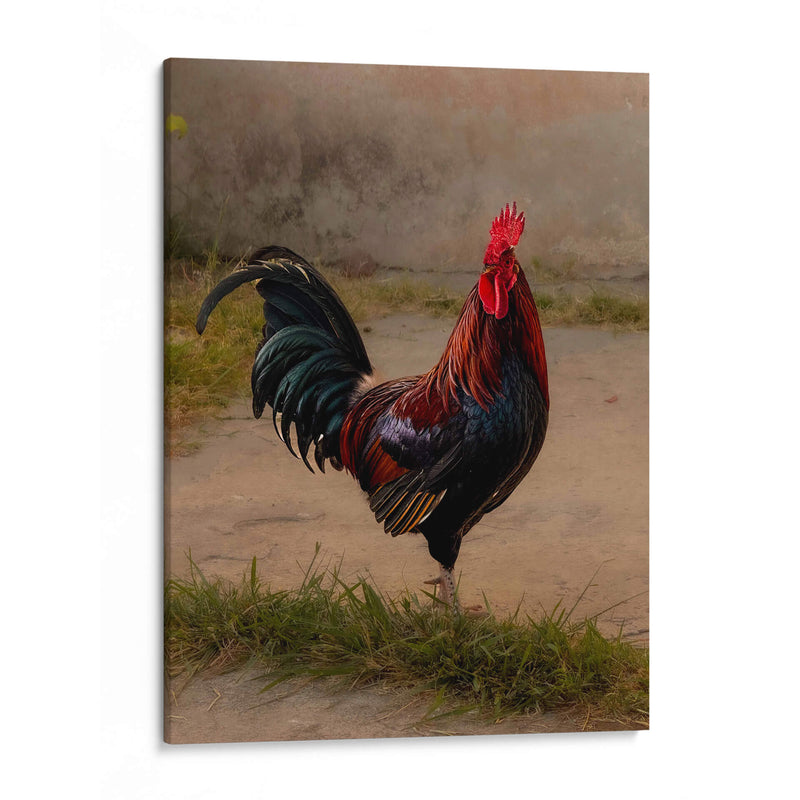 Este es mi gallo - E Ordóñez | Cuadro decorativo de Canvas Lab