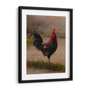 Este es mi gallo - E Ordóñez | Cuadro decorativo de Canvas Lab