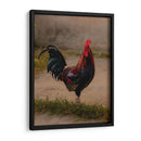 Este es mi gallo - E Ordóñez | Cuadro decorativo de Canvas Lab