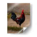 Este es mi gallo - E Ordóñez | Cuadro decorativo de Canvas Lab