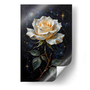 Rosa Celestial - Tito Massia | Cuadro decorativo de Canvas Lab