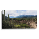Tehuacán, Semidesierto Poblano - dani.drn | Cuadro decorativo de Canvas Lab