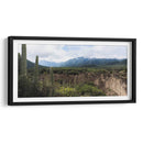 Tehuacán, Semidesierto Poblano - dani.drn | Cuadro decorativo de Canvas Lab