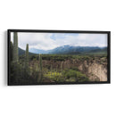 Tehuacán, Semidesierto Poblano - dani.drn | Cuadro decorativo de Canvas Lab