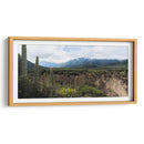 Tehuacán, Semidesierto Poblano - dani.drn | Cuadro decorativo de Canvas Lab