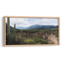 Tehuacán, Semidesierto Poblano - dani.drn | Cuadro decorativo de Canvas Lab