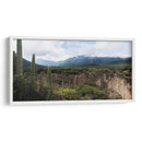 Tehuacán, Semidesierto Poblano - dani.drn | Cuadro decorativo de Canvas Lab