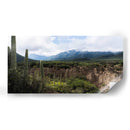 Tehuacán, Semidesierto Poblano - dani.drn | Cuadro decorativo de Canvas Lab