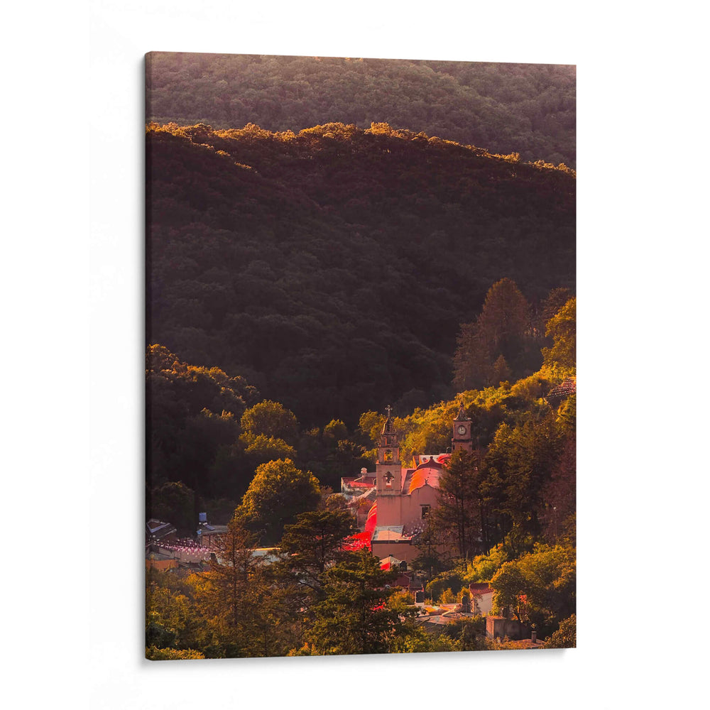 Entre los árboles  - E Ordóñez | Cuadro decorativo de Canvas Lab