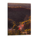 Entre los árboles  - E Ordóñez | Cuadro decorativo de Canvas Lab