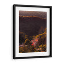 Entre los árboles  - E Ordóñez | Cuadro decorativo de Canvas Lab