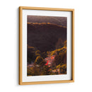 Entre los árboles  - E Ordóñez | Cuadro decorativo de Canvas Lab