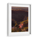 Entre los árboles  - E Ordóñez | Cuadro decorativo de Canvas Lab