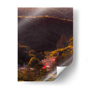 Entre los árboles  - E Ordóñez | Cuadro decorativo de Canvas Lab