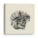 Velocidad de la salsa - Mikhail Siskoff | Cuadro decorativo de Canvas Lab