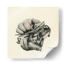 Velocidad de la salsa - Mikhail Siskoff | Cuadro decorativo de Canvas Lab