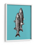 Sardinas - Elizabeth C | Cuadro decorativo de Canvas Lab