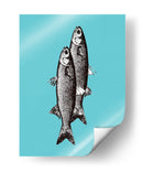 Sardinas - Elizabeth C | Cuadro decorativo de Canvas Lab