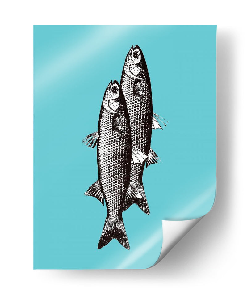 Sardinas - Elizabeth C | Cuadro decorativo de Canvas Lab