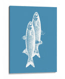 Pescados blancos - Elizabeth C | Cuadro decorativo de Canvas Lab