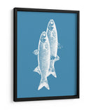 Pescados blancos - Elizabeth C | Cuadro decorativo de Canvas Lab