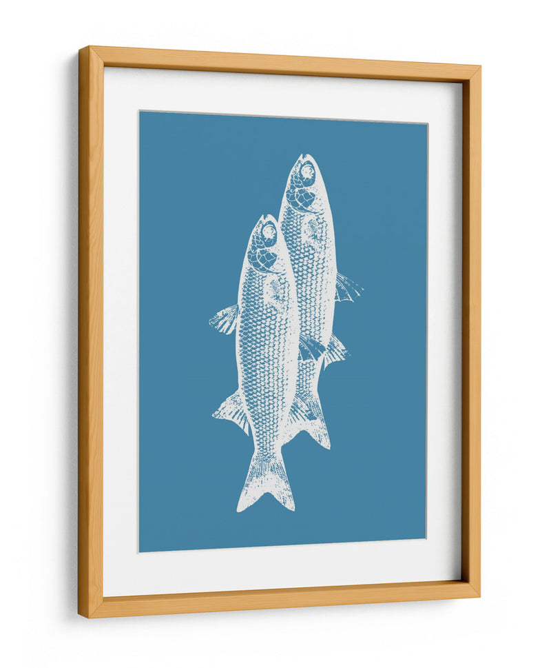 Pescados blancos - Elizabeth C | Cuadro decorativo de Canvas Lab