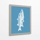Pescados blancos - Elizabeth C | Cuadro decorativo de Canvas Lab