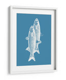 Pescados blancos - Elizabeth C | Cuadro decorativo de Canvas Lab