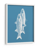 Pescados blancos - Elizabeth C | Cuadro decorativo de Canvas Lab