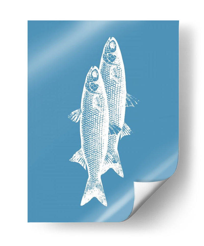 Pescados blancos - Elizabeth C | Cuadro decorativo de Canvas Lab
