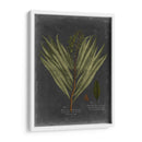 Follaje Dramatique Ii - Vision Studio | Cuadro decorativo de Canvas Lab