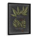 Follaje Dramatique Iv - Vision Studio | Cuadro decorativo de Canvas Lab