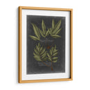 Follaje Dramatique Iv - Vision Studio | Cuadro decorativo de Canvas Lab