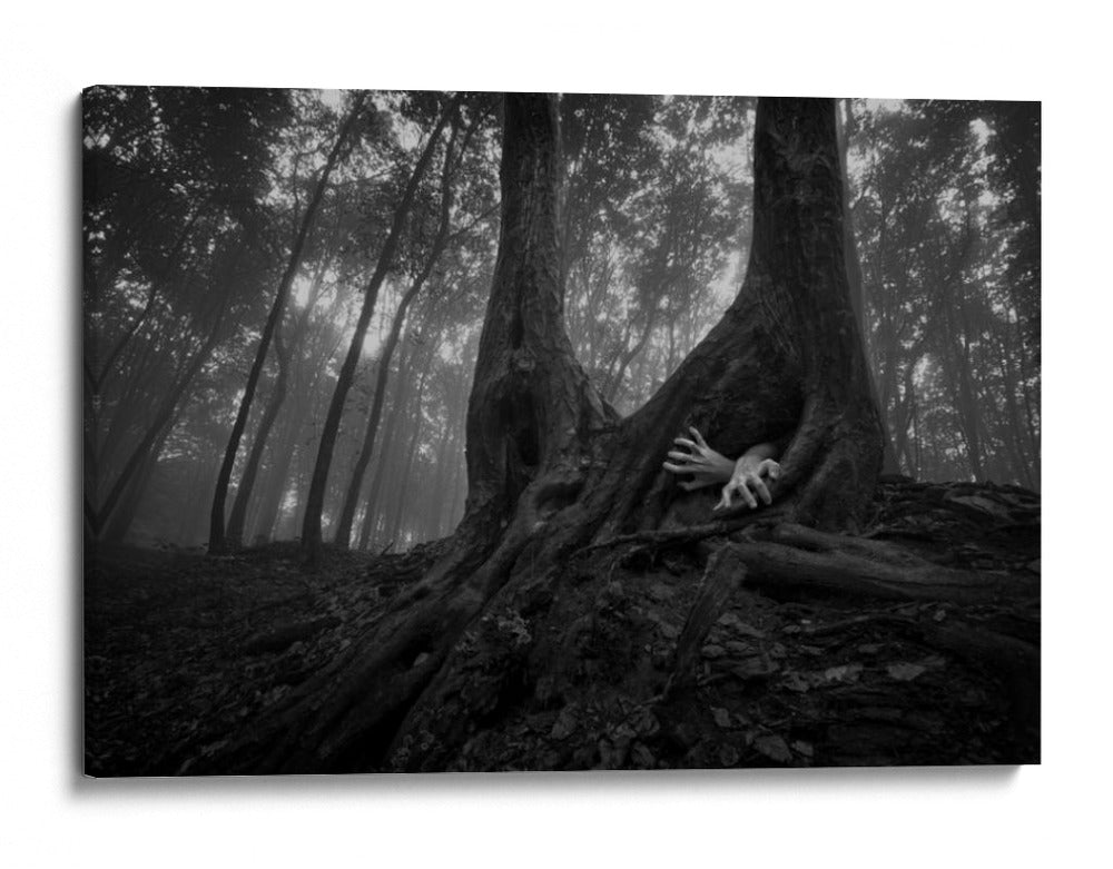 Desde el otro lado - PhotoCosma | Cuadro decorativo de Canvas Lab