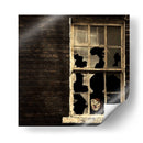 Es época de Halloween... - Barbara Orienti | Cuadro decorativo de Canvas Lab