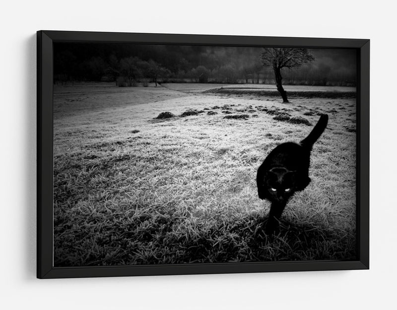 furtivo - Barbara | Cuadro decorativo de Canvas Lab