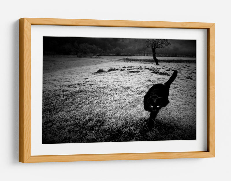 furtivo - Barbara | Cuadro decorativo de Canvas Lab