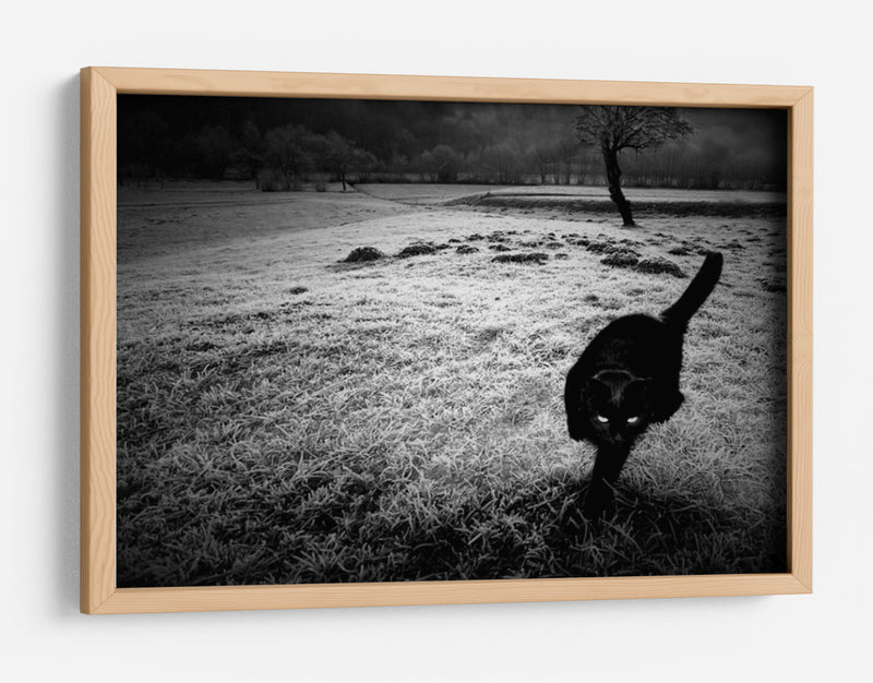 furtivo - Barbara | Cuadro decorativo de Canvas Lab