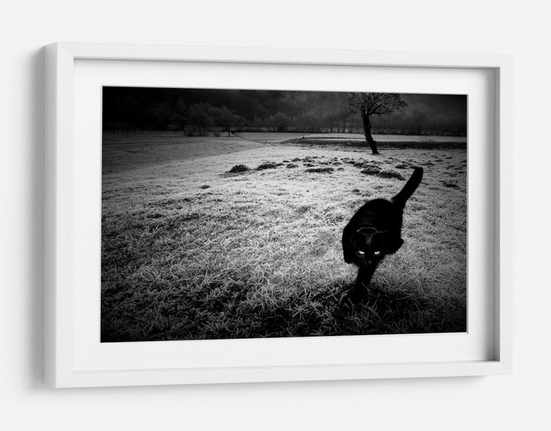 furtivo - Barbara | Cuadro decorativo de Canvas Lab